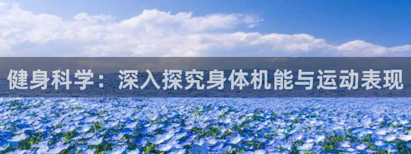 QY球友会官网